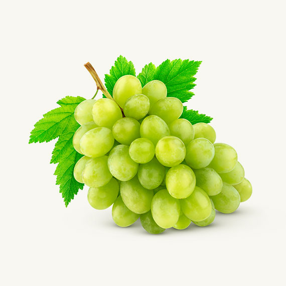 grapes Grapes