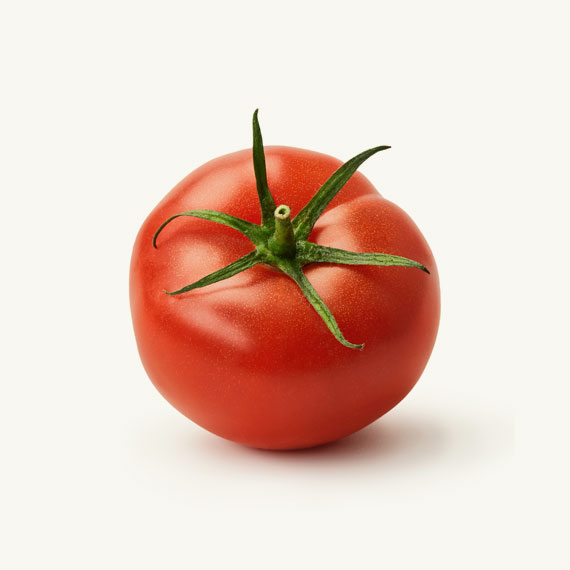 tomato طماطم
